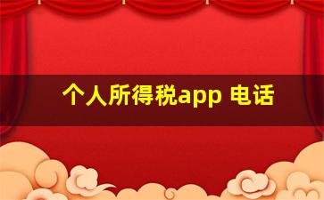 个人所得税app 电话